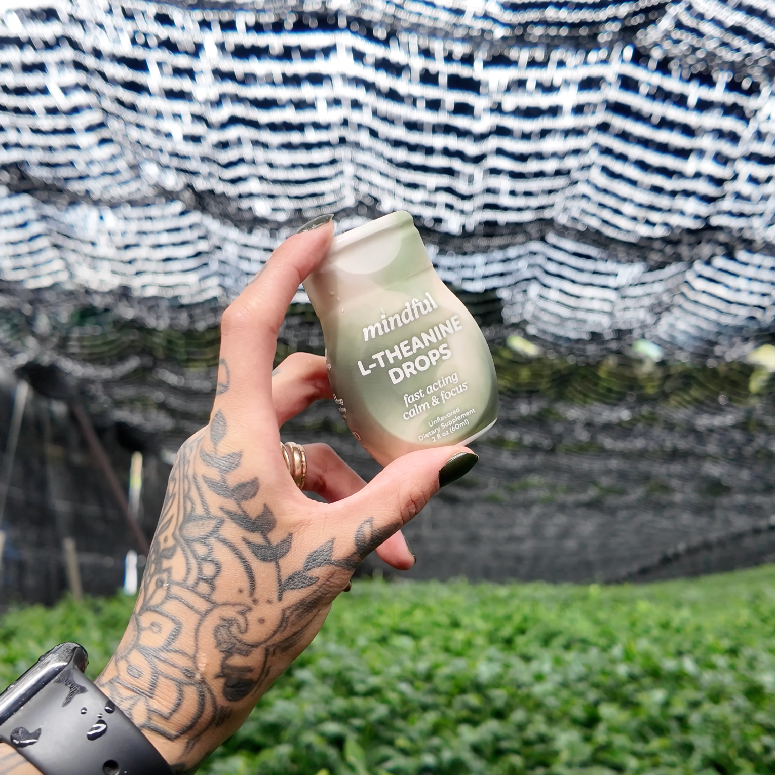 iwt-image-Hand holding a Mindful Drops bottle that reads 
